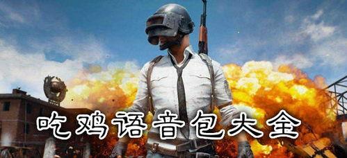 吃鸡亚洲服视频没有声音