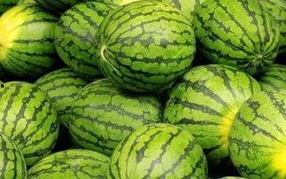 每日大赛R吃瓜网